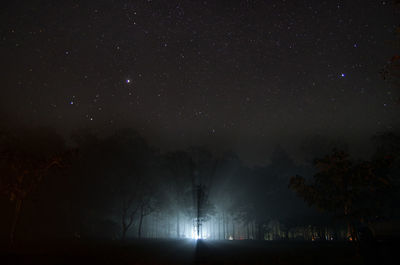 Light streaming through trees against star field