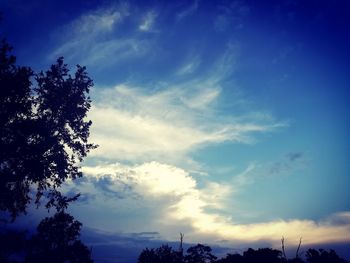 Low angle view of trees against blue sky