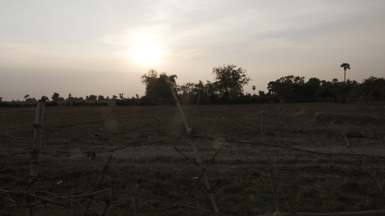 Cambodian fields