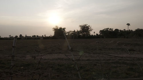 Scenic view of field against sky at sunset