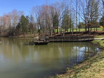 Scenic view of lake against bare trees