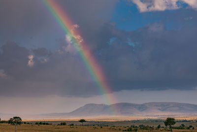 Scenic view of rainbow against sky