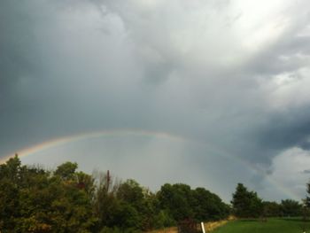 Low angle view of rainbow over trees against sky