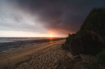 Scenic view of beach against sky during sunset