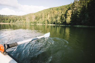 Scenic view of lake in forest against sky