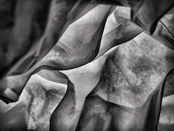 Full frame shot of leaves