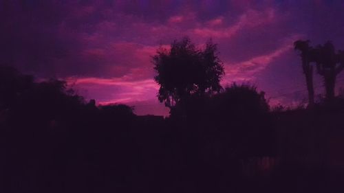 Low angle view of silhouette trees against dramatic sky