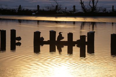 Silhouette of wooden posts in lake against sky at sunset