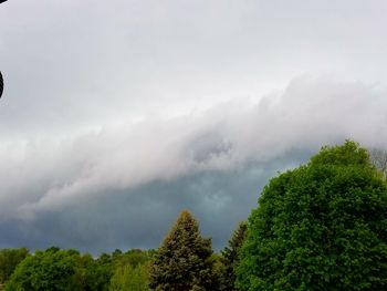 Low angle view of trees against sky