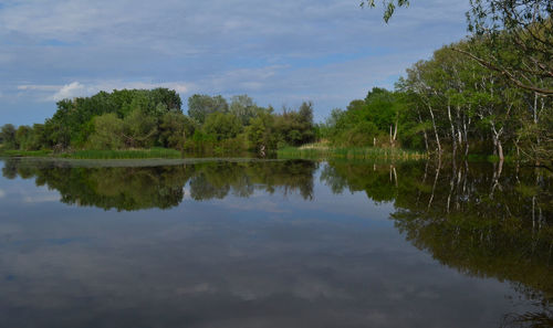 Scenic view of lake by trees against sky