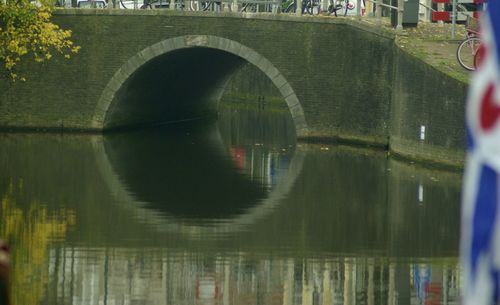 Reflection of trees in water
