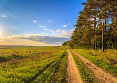 Dirt road amidst field against sky