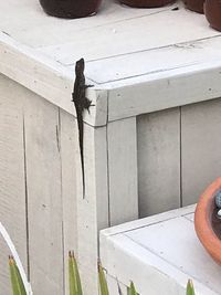 High angle view of painting on wall