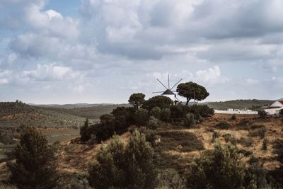 Trees on field against sky