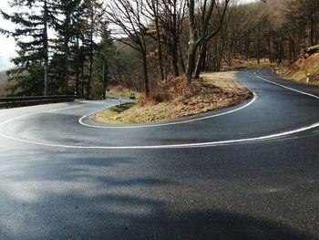 Road at forest