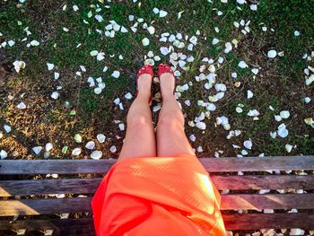 Woman in dress sitting on a bench with white rose petals under her feet