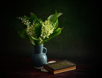 Close-up of broccoli on table