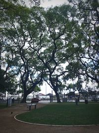 Trees in park against sky