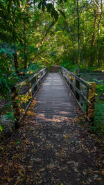 Footbridge in forest