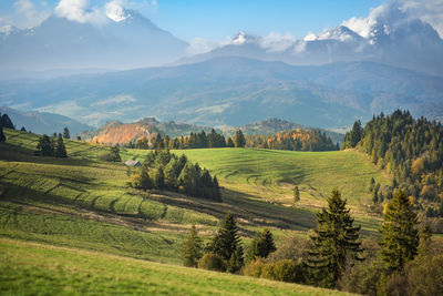 Scenic view of landscape against sky