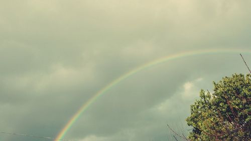 Low angle view of rainbow against sky