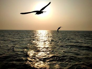 Silhouette bird flying over sea against sky