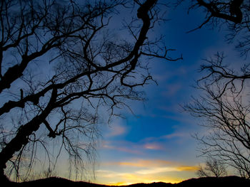 Low angle view of silhouette bare tree against sky at sunset