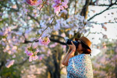 Low section of woman with pink cherry blossom tree