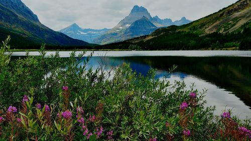 Scenic view of lake and mountains against sky