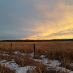 Scenic view of snowy field against sky during sunset