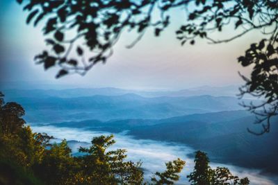 Scenic view of tree mountains against sky