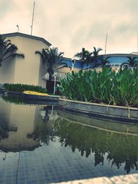 Reflection of palm trees and swimming pool by lake against sky