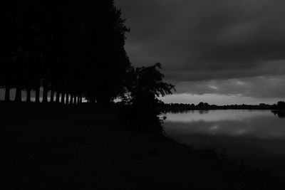 Trees on landscape against sky