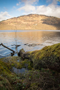 Scenic view of water against sky