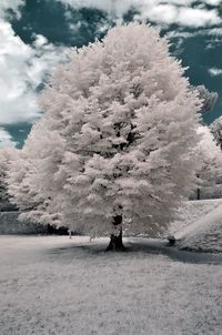 Scenic view of snow covered land against sky