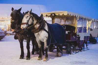 Panoramic view of a horse cart