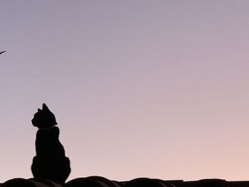 Silhouette rocks against clear sky during sunset