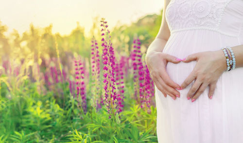 Midsection of pregnant woman standing amidst flowers