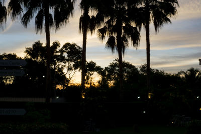 Silhouette palm trees against sky at sunset