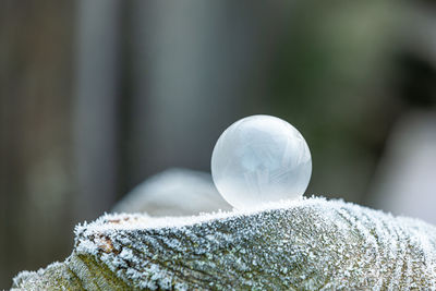 Close-up of frozen ball on snow