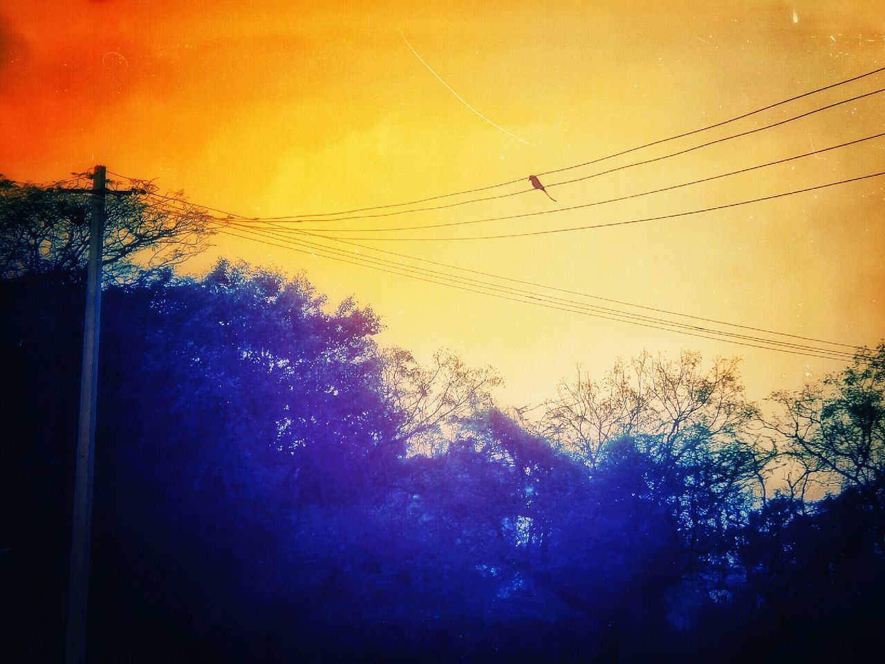 sunset, power line, silhouette, sky, low angle view, electricity pylon, electricity, power supply, orange color, fuel and power generation, cable, nature, tree, technology, dusk, connection, outdoors, beauty in nature, no people, built structure