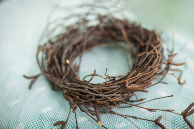 Children make a wreath of branches, nest for birds