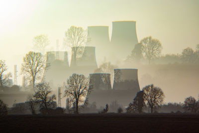 Trees on field against sky during sunset