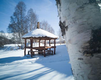 A resort in a forest environment