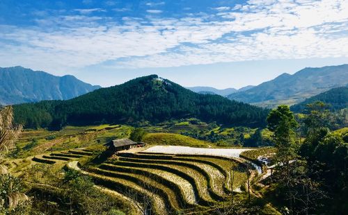 Scenic view of agricultural field against sky