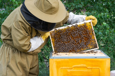 Rear view of man working at farm