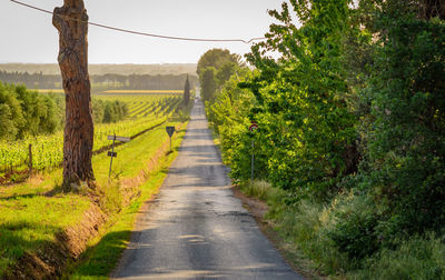 Road amidst green landscape against sky