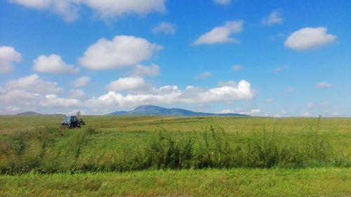 Scenic view of agricultural field against sky