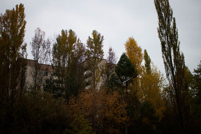 Low angle view of trees against sky