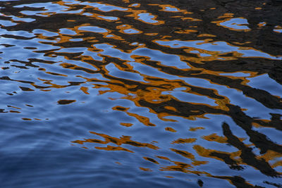 High angle view of leaf floating on water